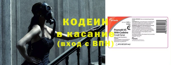 сатива Арсеньев