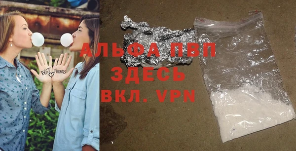 сатива Арсеньев