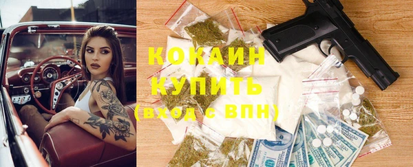 стафф Аркадак