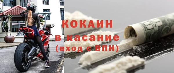 сатива Арсеньев