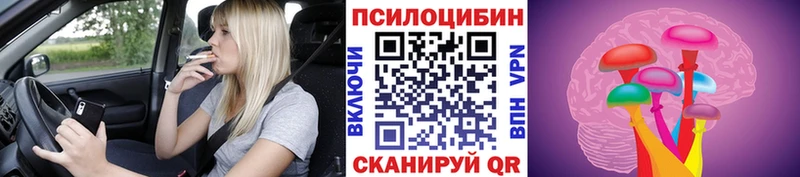 цены наркотик  mega ССЫЛКА  Галлюциногенные грибы ЛСД  Пустошка 